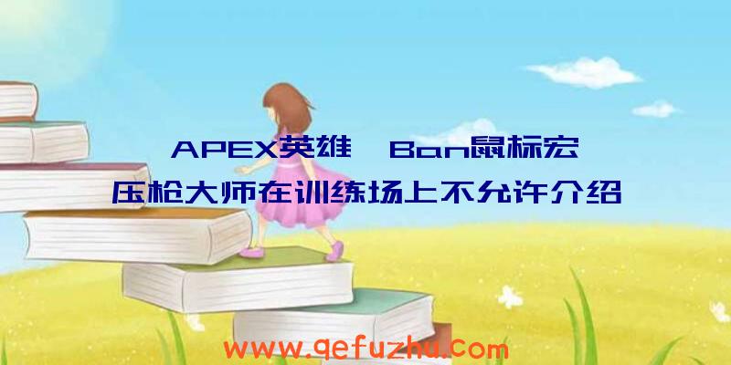 《APEX英雄》Ban鼠标宏